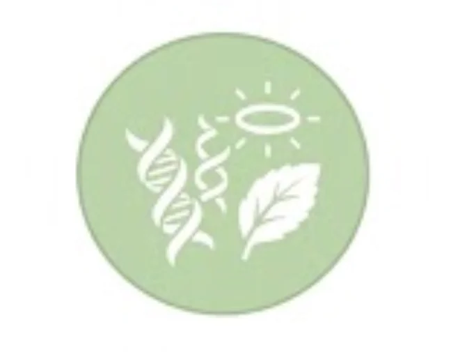 COMBO 6 LON THỰC DƯỠNG NANOVI 900G