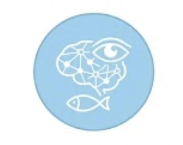 COMBO 6 LON THỰC DƯỠNG NANOVI 900G